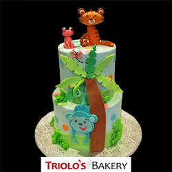 Baby Shower Cakes from Triolo's Bakery Bedford, NH, USA